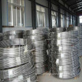 Stainless Steel Spring Wire /Oil-Hardened Spring Wire